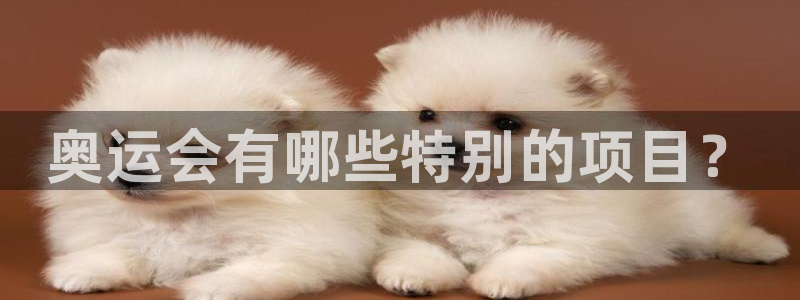 奥运会有哪些特别的项目？