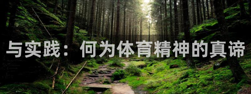 与实践：何为体育精神的真谛