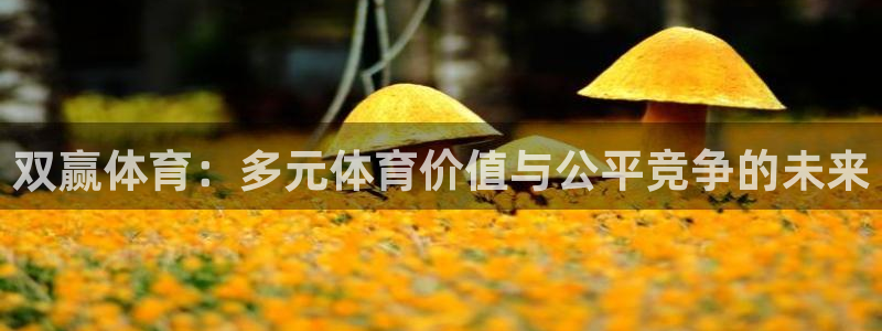 双赢体育：多元体育价值与公平竞争的未来